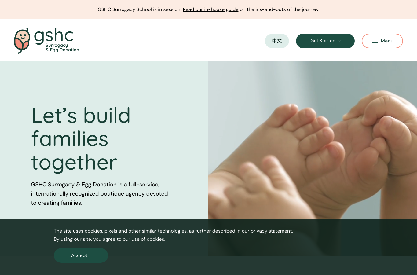 GSHC Surrogacy audit screenshot