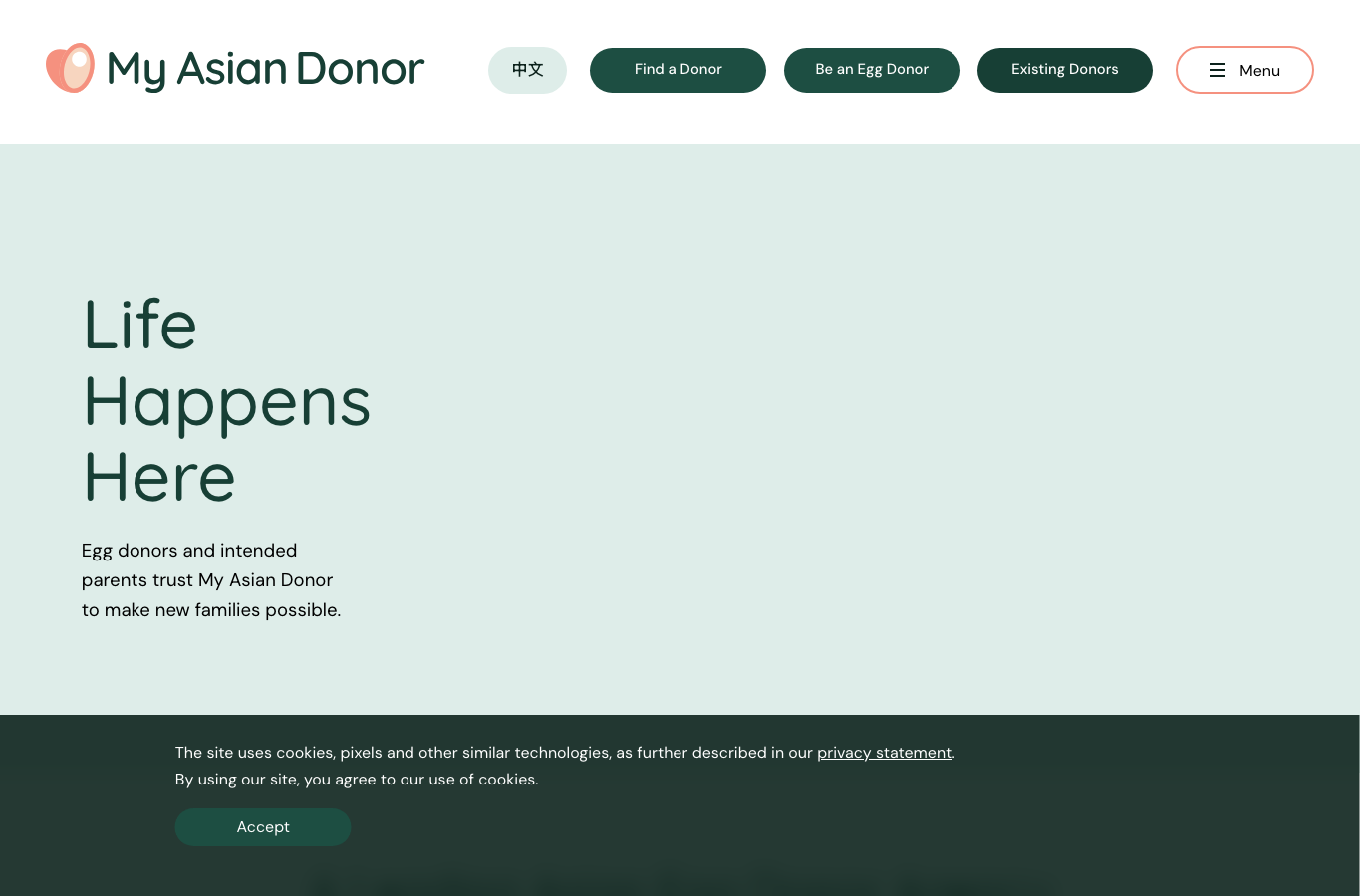 My Asian Donor audit screenshot